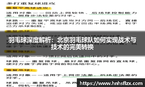 羽毛球深度解析：北京羽毛球队如何实现战术与技术的完美转换
