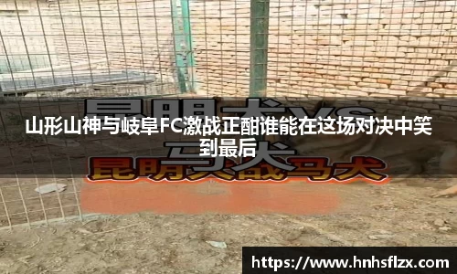 山形山神与岐阜FC激战正酣谁能在这场对决中笑到最后