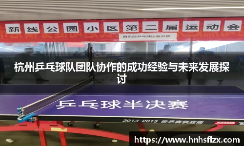 杭州乒乓球队团队协作的成功经验与未来发展探讨