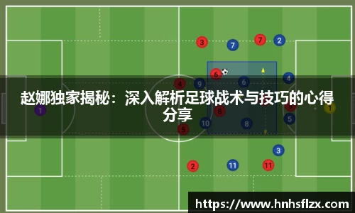 赵娜独家揭秘：深入解析足球战术与技巧的心得分享